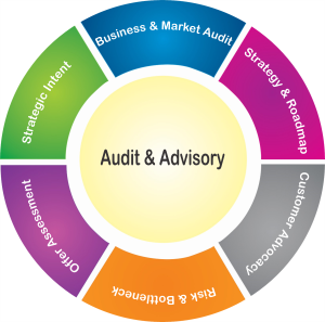 Audit & Advisory